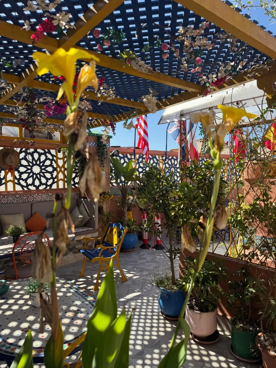 Le rooftop, photo 9