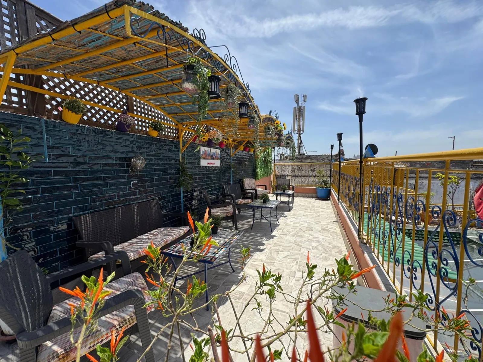 Le rooftop, photo 17