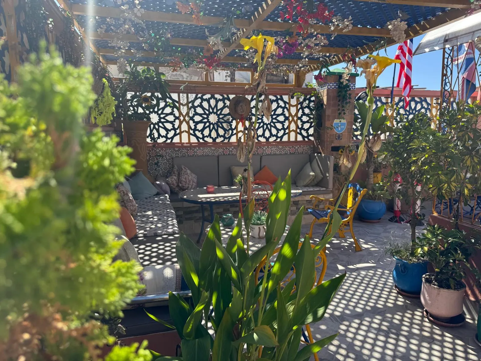 Le rooftop, photo 15